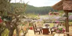The Florest Park Tickets