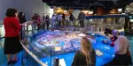 The Walt Disney Family Museum Tickets