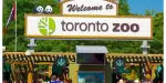Toronto Zoo Tickets