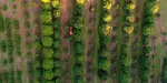 Tropical Fruit World Tickets