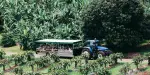 Tropical Fruit World Tickets