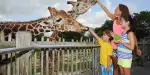 Zoo Miami Tickets