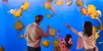 Vancouver Aquarium Tickets