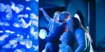 Vancouver Aquarium Tickets