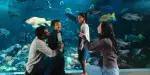 Vancouver Aquarium Tickets