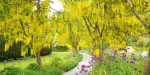 VanDusen Botanical Garden Tickets