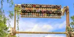 Walibi Belgium Tickets