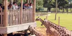 Whipsnade Zoo Tickets