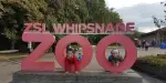 Whipsnade Zoo Tickets