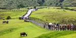 Yangmingshan National Park Tickets