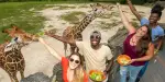 Zoo Miami Tickets