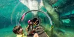 Zoo Miami Tickets