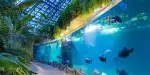 Zooparc de Beauval Tickets