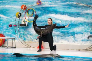 Dubai Dolphinarium Tickets