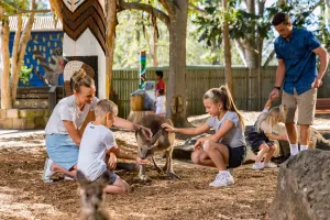 Dreamworld Australia Tickets