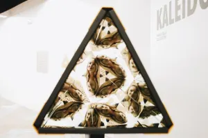 Museum of Illusions Rome Tickets