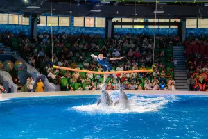 Dubai Dolphinarium Tickets