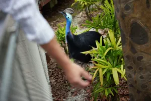Bird Paradise Singapore Tickets