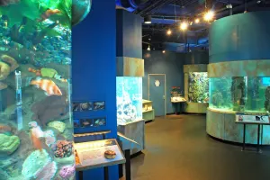 Aquarium of the Bay Tickets