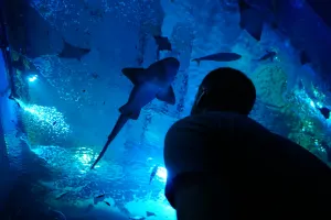 Sevilla Aquarium Tickets