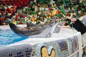 Dubai Dolphinarium Tickets
