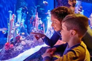 SEA LIFE New Jersey Tickets