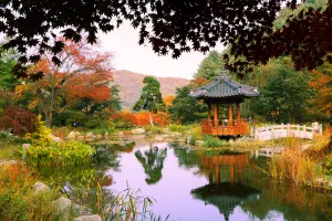 Nami Island Tours