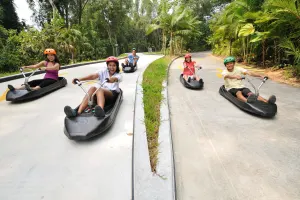Skyline Luge Sentosa Tickets