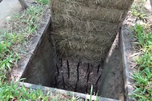 Cu Chi Tunnels Tours