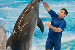 Dubai Dolphinarium Tickets