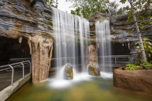 San Diego Zoo Tickets