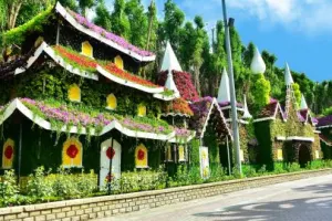 Dubai Miracle Garden Tickets