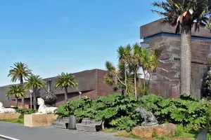 de Young Museum Tickets