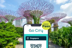 Singapore City Explorer Pass