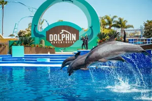 SeaWorld San Diego Tickets