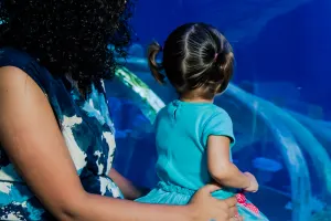 SEA LIFE Paris Aquarium Tickets