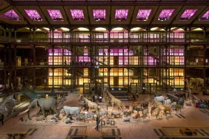 Grande Galerie De L'Évolution Tickets