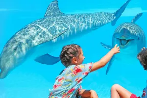 Zoomarine Algarve Tickets