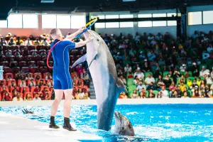 Dubai Dolphinarium Tickets