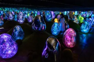 teamLab Planets Tokyo Tickets