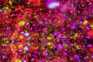 teamLab Planets Tokyo Tickets
