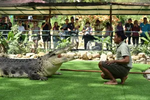 Crocodile Adventureland Langkawi Tickets