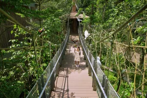 Bird Paradise Singapore Tickets