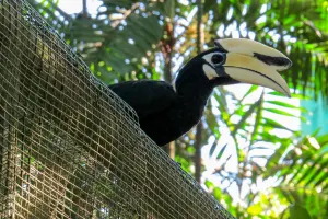 Kuala Lumpur Bird Park Tickets