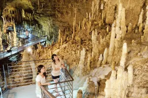 Okinawa World Tickets