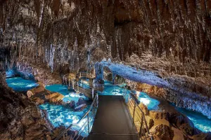 Okinawa World Tickets