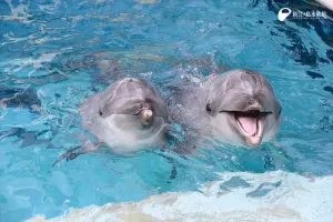 Enoshima Aquarium Tickets