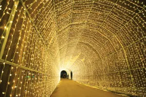 Nami Island Tours