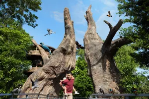 Bird Paradise Singapore Tickets