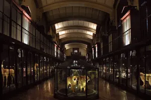 Grande Galerie De L'Évolution Tickets